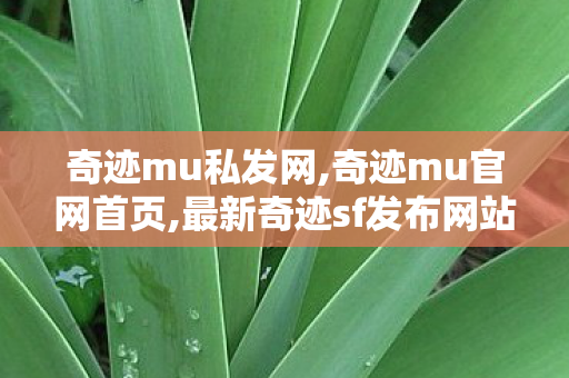 奇迹mu私发网,奇迹mu官网首页,最新奇迹sf发布网站,奇迹mu官网首页