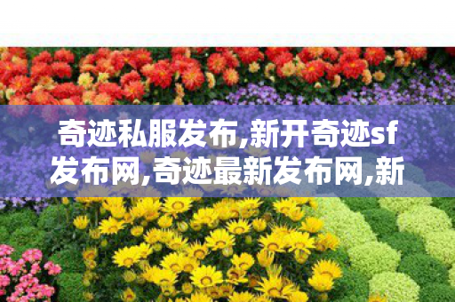 奇迹私服发布,新开奇迹sf发布网,奇迹最新发布网,新开奇迹sf发布网