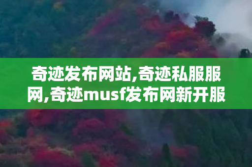 奇迹发布网站,奇迹私服服网,奇迹musf发布网新开服,奇迹私服服网