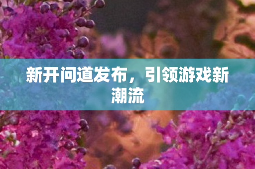 新开问道发布，引领游戏新潮流