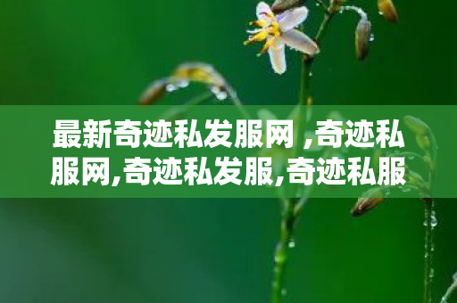 最新奇迹私发服网 ,奇迹私服网,奇迹私发服,奇迹私服网