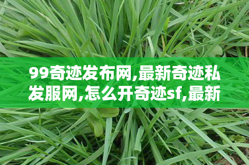 99奇迹发布网,最新奇迹私发服网,怎么开奇迹sf,最新奇迹私发服网