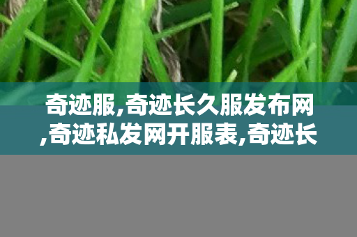 奇迹服,奇迹长久服发布网,奇迹私发网开服表,奇迹长久服发布网