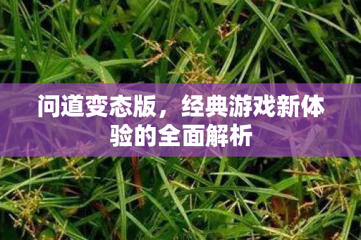 问道变态版，经典游戏新体验的全面解析