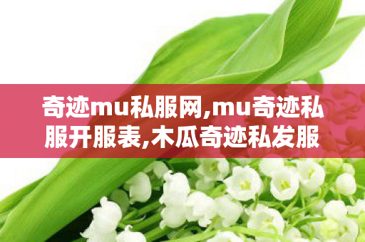 奇迹mu私服网,mu奇迹私服开服表,木瓜奇迹私发服,mu奇迹私服开服表