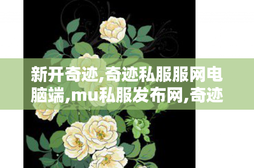 新开奇迹,奇迹私服服网电脑端,mu私服发布网,奇迹私服服网电脑端