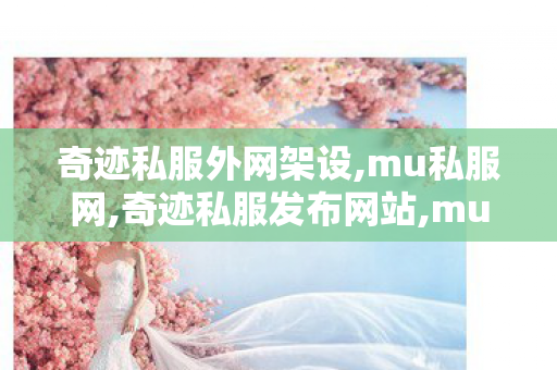 奇迹私服外网架设,mu私服网,奇迹私服发布网站,mu私服网