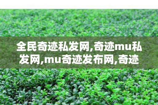全民奇迹私发网,奇迹mu私发网,mu奇迹发布网,奇迹mu私发网