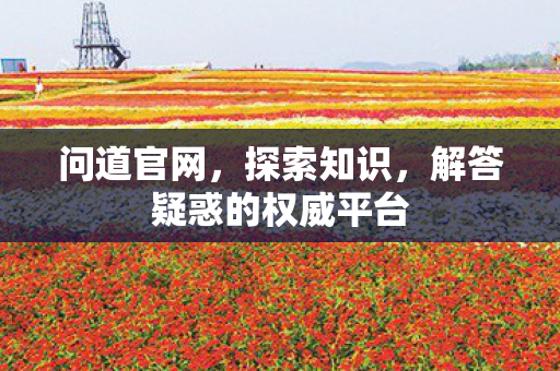 问道官网，探索知识，解答疑惑的权威平台