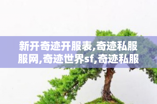 新开奇迹开服表,奇迹私服服网,奇迹世界sf,奇迹私服服网