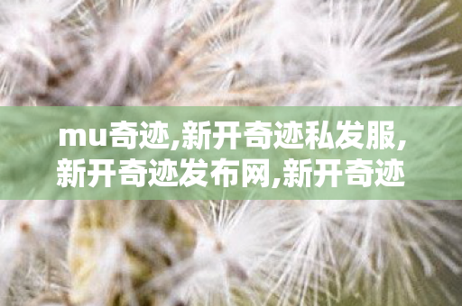 mu奇迹,新开奇迹私发服,新开奇迹发布网,新开奇迹私发服