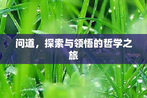 问道，探索与领悟的哲学之旅