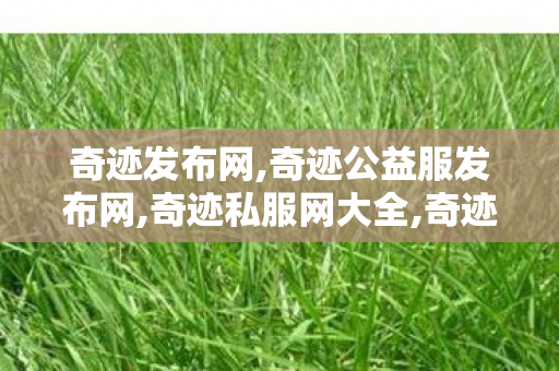 奇迹发布网,奇迹公益服发布网,奇迹私服网大全,奇迹公益服发布网