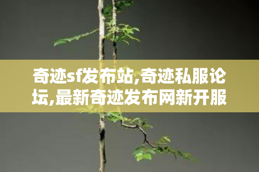 奇迹sf发布站,奇迹私服论坛,最新奇迹发布网新开服,奇迹私服论坛