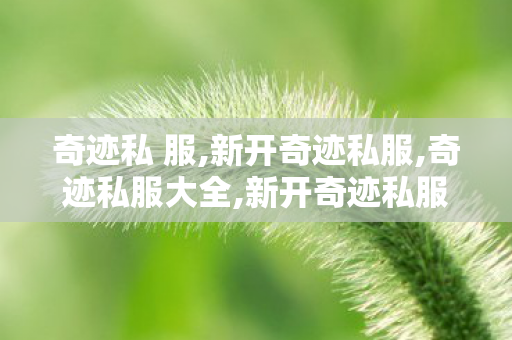 奇迹私 服,新开奇迹私服,奇迹私服大全,新开奇迹私服