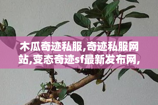 木瓜奇迹私服,奇迹私服网站,变态奇迹sf最新发布网,奇迹私服网站