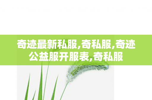 奇迹最新私服,奇私服,奇迹公益服开服表,奇私服