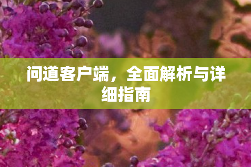 问道客户端，全面解析与详细指南