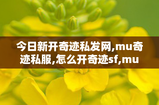 今日新开奇迹私发网,mu奇迹私服,怎么开奇迹sf,mu奇迹私服