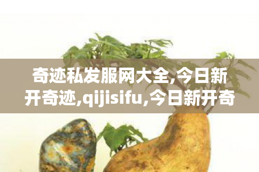 奇迹私发服网大全,今日新开奇迹,qijisifu,今日新开奇迹