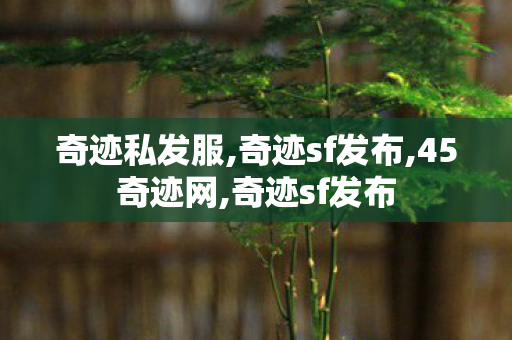 奇迹私发服,奇迹sf发布,45奇迹网,奇迹sf发布