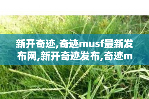 新开奇迹,奇迹musf最新发布网,新开奇迹发布,奇迹musf最新发布网