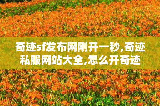奇迹sf发布网刚开一秒,奇迹私服网站大全,怎么开奇迹sf,奇迹私服网站大全
