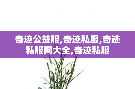 奇迹公益服,奇迹私服,奇迹私服网大全,奇迹私服
