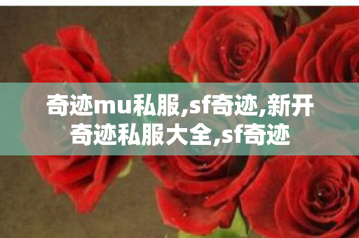 奇迹mu私服,sf奇迹,新开奇迹私服大全,sf奇迹