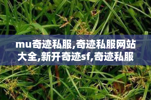 mu奇迹私服,奇迹私服网站大全,新开奇迹sf,奇迹私服网站大全