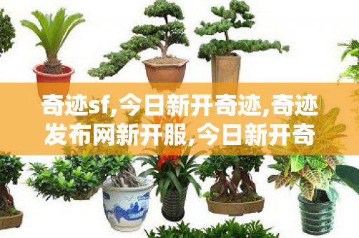 奇迹sf,今日新开奇迹,奇迹发布网新开服,今日新开奇迹