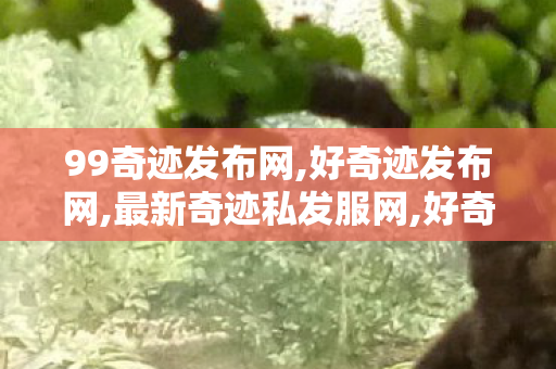 99奇迹发布网,好奇迹发布网,最新奇迹私发服网,好奇迹发布网