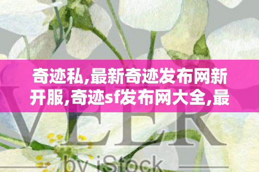 奇迹私,最新奇迹发布网新开服,奇迹sf发布网大全,最新奇迹发布网新开服