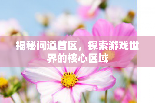 揭秘问道首区，探索游戏世界的核心区域