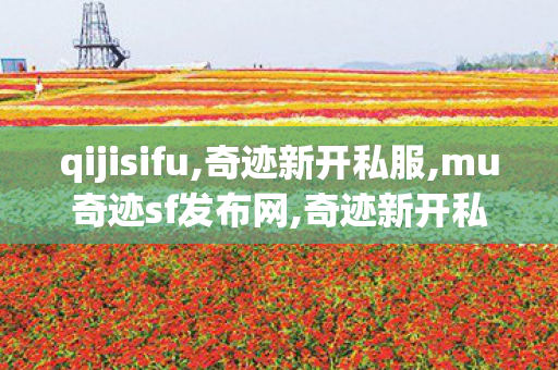 qijisifu,奇迹新开私服,mu奇迹sf发布网,奇迹新开私服