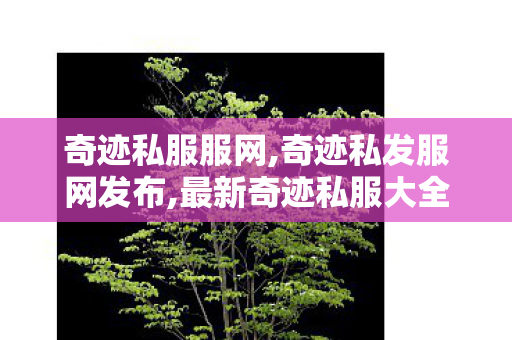 奇迹私服服网,奇迹私发服网发布,最新奇迹私服大全,奇迹私发服网发布