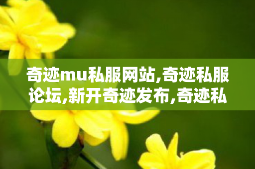 奇迹mu私服网站,奇迹私服论坛,新开奇迹发布,奇迹私服论坛