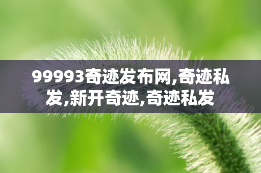 99993奇迹发布网,奇迹私发,新开奇迹,奇迹私发