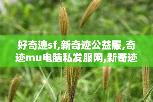 好奇迹sf,新奇迹公益服,奇迹mu电脑私发服网,新奇迹公益服