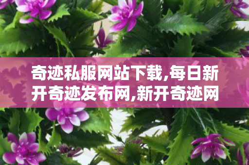 奇迹私服网站下载,每日新开奇迹发布网,新开奇迹网站,每日新开奇迹发布网