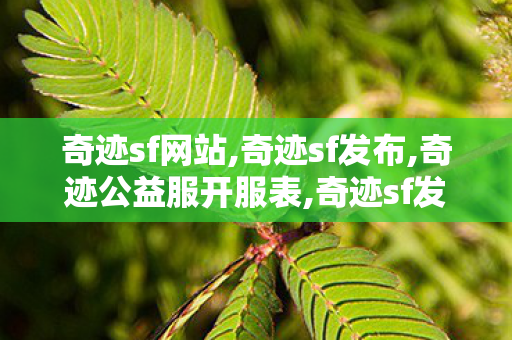 奇迹sf网站,奇迹sf发布,奇迹公益服开服表,奇迹sf发布
