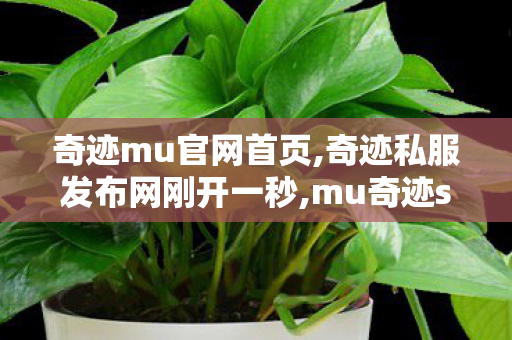 奇迹mu官网首页,奇迹私服发布网刚开一秒,mu奇迹sf发布网,奇迹私服发布网刚开一秒