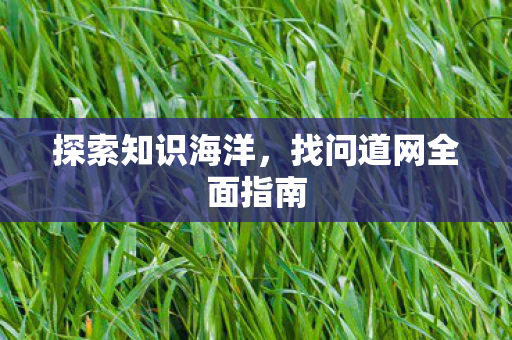 探索知识海洋，找问道网全面指南