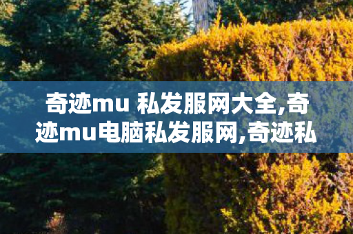 奇迹mu 私发服网大全,奇迹mu电脑私发服网,奇迹私发服端游,奇迹mu电脑私发服网