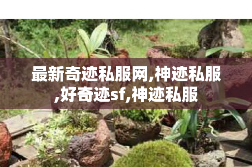 最新奇迹私服网,神迹私服,好奇迹sf,神迹私服