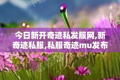 今日新开奇迹私发服网,新奇迹私服,私服奇迹mu发布网sf,新奇迹私服
