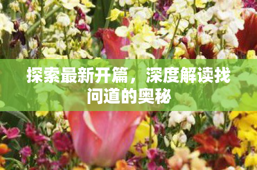 探索最新开篇，深度解读找问道的奥秘