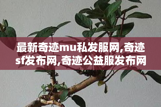 最新奇迹mu私发服网,奇迹sf发布网,奇迹公益服发布网,奇迹sf发布网
