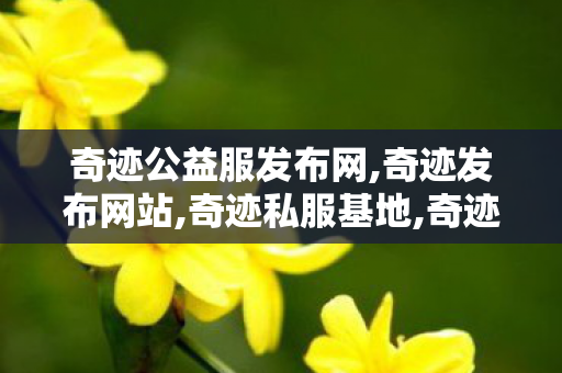 奇迹公益服发布网,奇迹发布网站,奇迹私服基地,奇迹发布网站