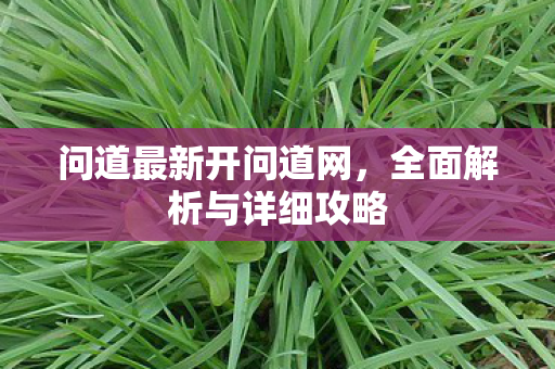 问道最新开问道网，全面解析与详细攻略